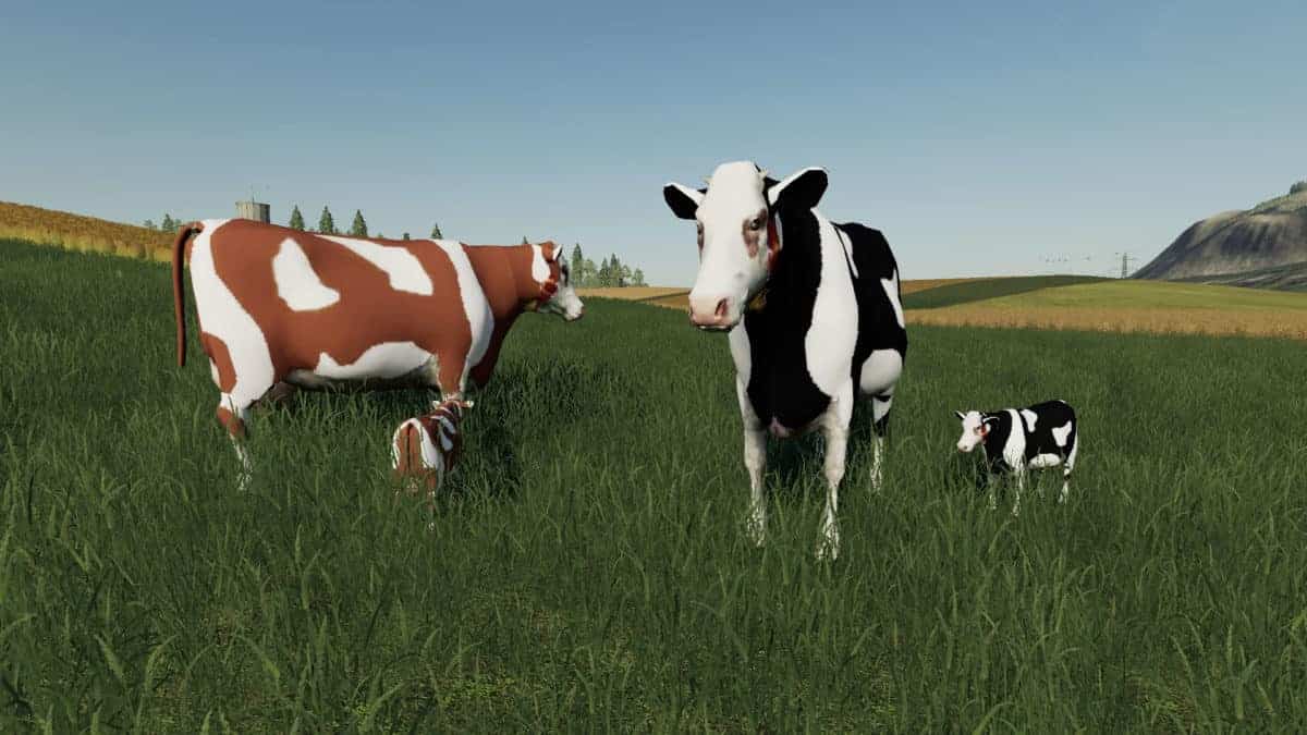 How to sell cows fs19