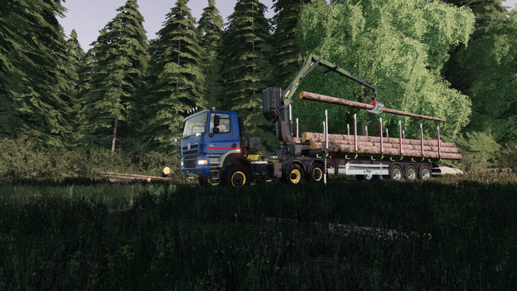 the forest mods crane