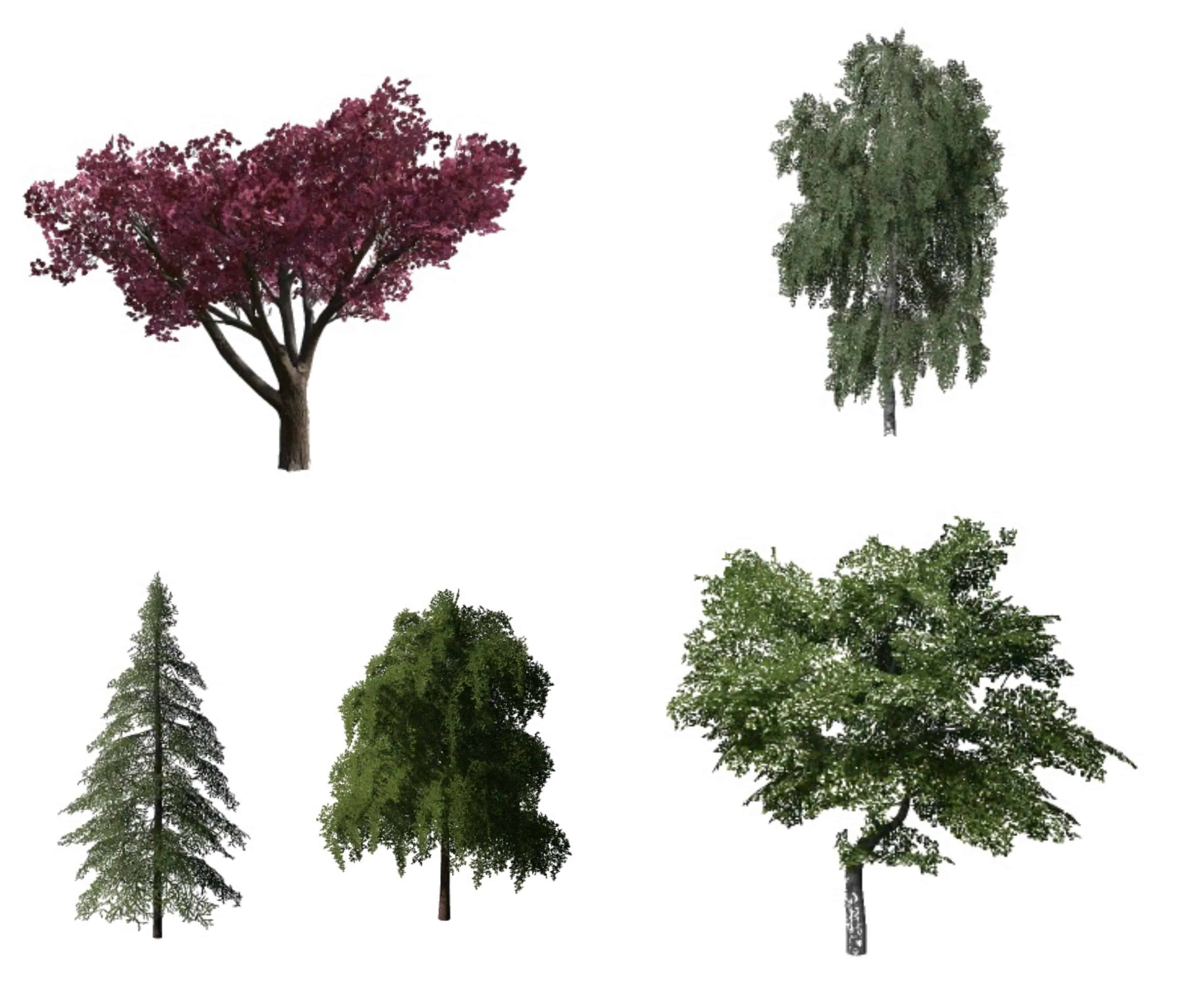 15 деревьев. Trees v1.0 fs19. Пак деревьев для fs19. Деревья для ФС 19. Деревья для Farming Simulator 2019.